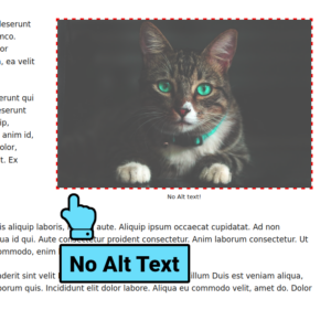 Highlight images that have no alt text